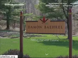 Sites similar to damonbaehrel.com