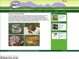 Sites similar to damycel.cz