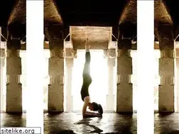 Sites similar to danatarasavage.com