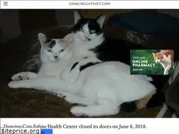 Sites similar to dancingcatsvet.com