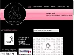 Sites similar to dandydog-formation-toilettage.com