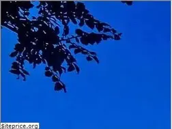 Sites similar to danesroofing.com