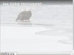 Sites similar to danferrinphotography.com