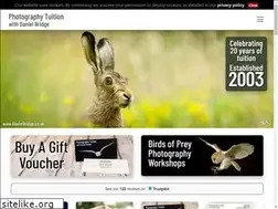Sites similar to danielbridge.co.uk
