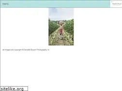 Sites similar to daniellebryson.com