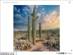 Sites similar to danielmirer.com