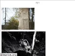 Sites similar to danielsteegmann.info