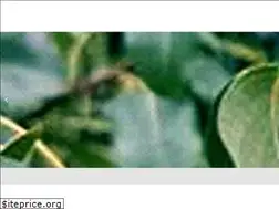 Sites similar to daniilidisbio.gr