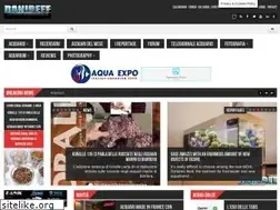 Sites similar to danireef.com