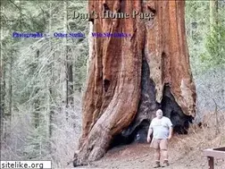 Sites similar to danmusil.com