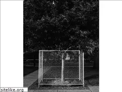 Sites similar to danrios.com