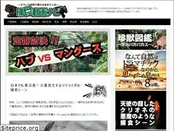 Sites similar to danshireview.com