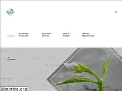 Sites similar to dansmarue-bordeaux.fr