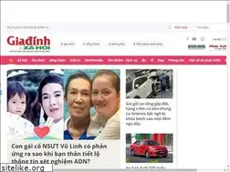 Sites similar to danso.giadinh.net.vn