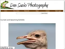 Sites similar to dansuzio.com