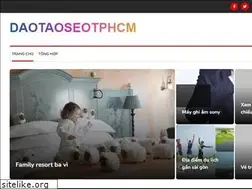 Sites similar to daotaoseotphcm.edu.vn