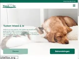 Sites similar to dapstiens.nl