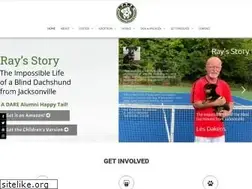 Sites similar to daretorescue.org