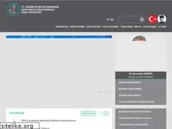 Sites similar to darphane.gov.tr