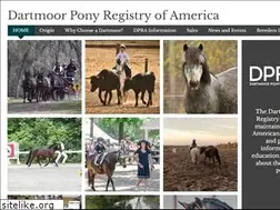 Sites similar to dartmoorpony.com