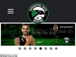 Sites similar to darussafakabasketbol.com
