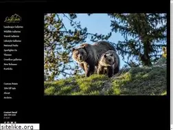 Sites similar to daryl-hunter.com