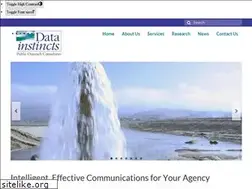Sites similar to datainstincts.com