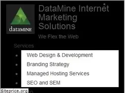 Sites similar to datamine.net