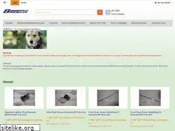 Sites similar to datsun1200.asia