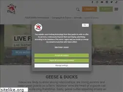 Sites similar to daunen.vier-pfoten.org