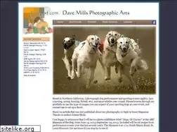 Sites similar to dave-mills.com