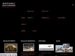 Sites similar to davehammanphoto.com