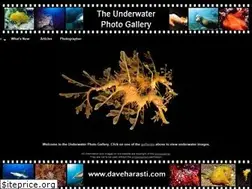 Sites similar to daveharasti.com