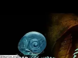 Sites similar to davemckean.com