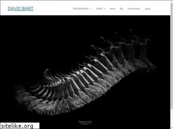 Sites similar to davidbart.com