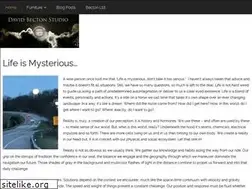 Sites similar to davidbecton.com