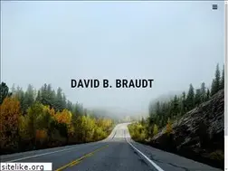 Sites similar to davidbraudt.com