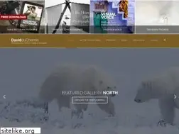 Sites similar to davidduchemin.com