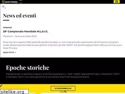 Sites similar to davide-pedersoli.com