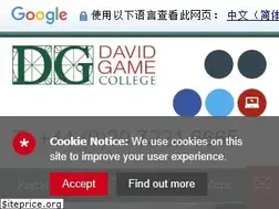 Sites similar to davidgamecollege.com