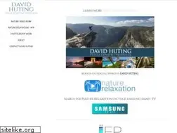 Sites similar to davidhuting.com