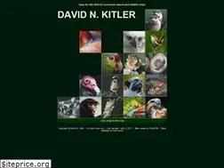Sites similar to davidkitler.com