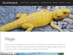 Sites similar to davidmuzicek.cz
