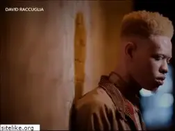 Sites similar to davidraccuglia.com