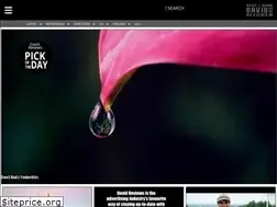 Sites similar to davidreviews.tv