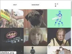 Sites similar to davidricoy.com