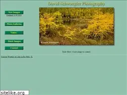 Sites similar to davidschwaegler.com
