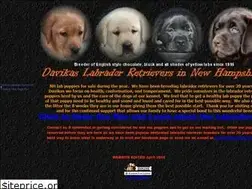 Sites similar to davikaslabs.com