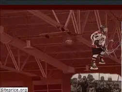 Sites similar to davisyouthhockey.org