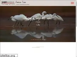 Sites similar to davorintome.si